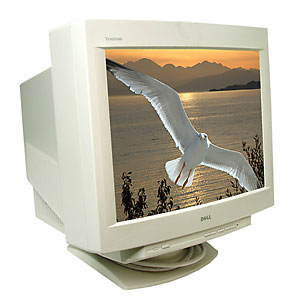 P990-1B-unit.jpg